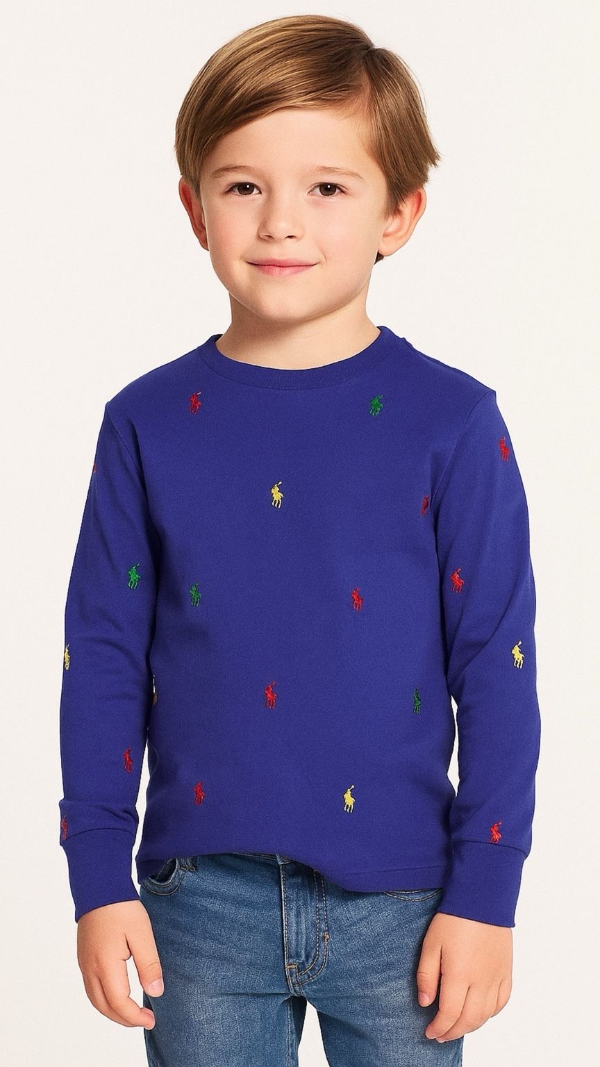 Child wearing a blue sweater with embroidered polo shirts on a white background